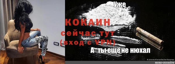 твердый Алексеевка