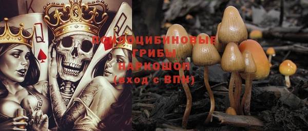твердый Алексеевка