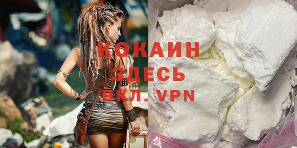 твердый Алексеевка