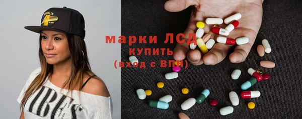 apvp Алзамай
