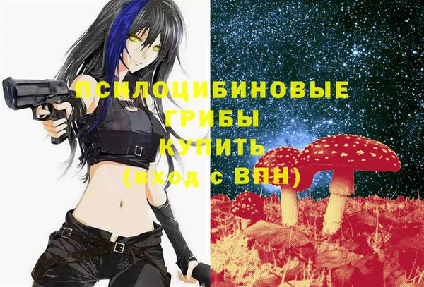 прущие крисы Алексин