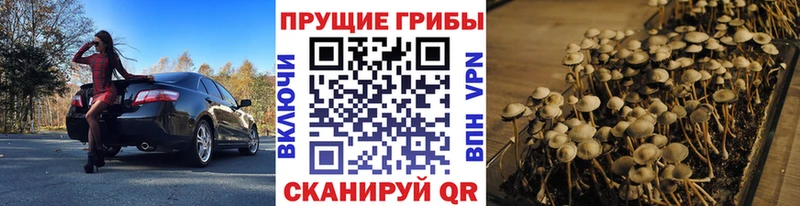 Галлюциногенные грибы прущие грибы  МЕГА рабочий сайт  это формула  наркота  Новороссийск 